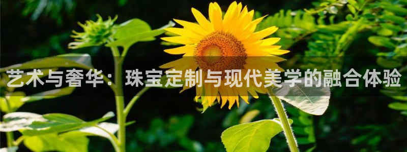天宏娱乐e 判官