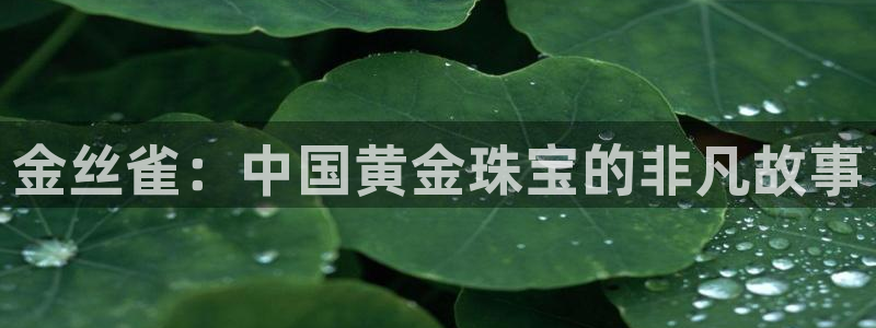 天宏娱乐广西吴叔