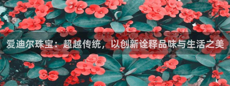 天宏娱乐的老板是谁