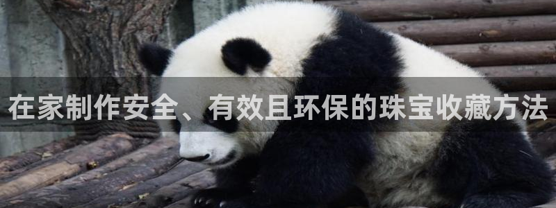 天宏娱乐传媒