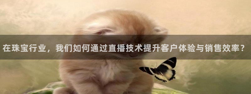 秦皇岛新闻宏天娱乐