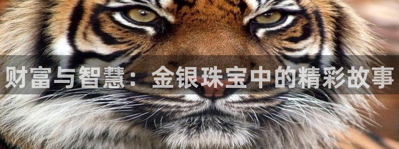 天宏娱乐关叔