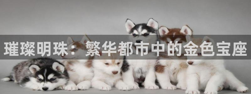 天宏娱乐自然大叔