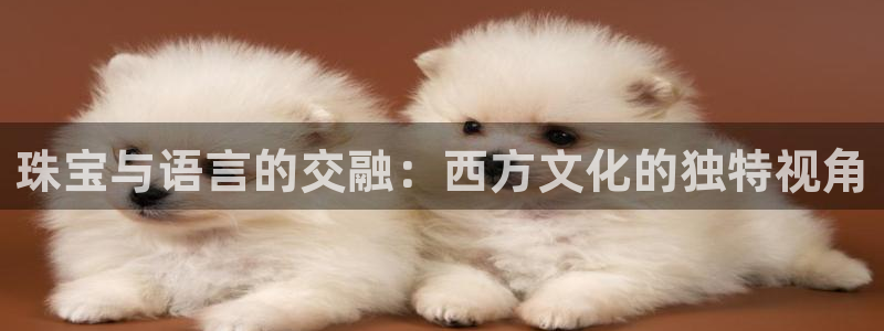 天宏娱乐秦叔老婆