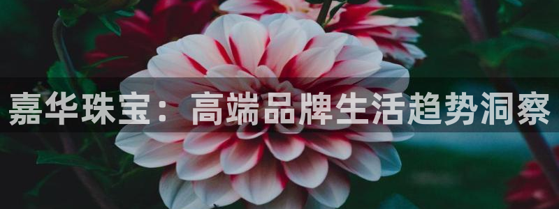 天宏娱乐 老刘