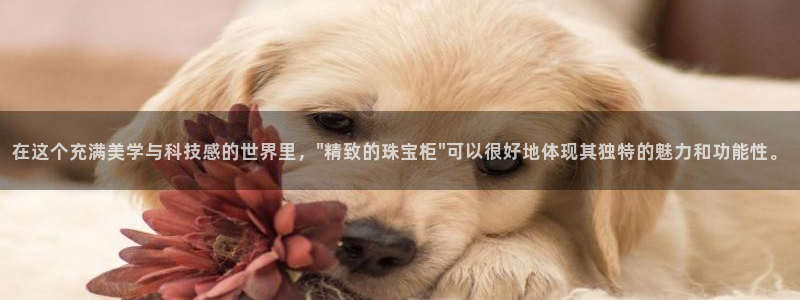 天宏娱乐开业