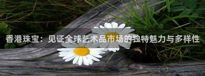 天宏娱乐金叔
