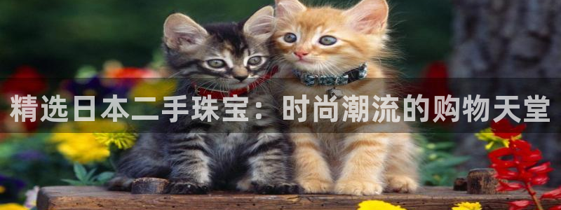 宏天广场娱乐会所电话