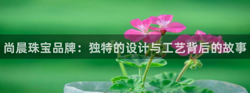天宏娱乐青风