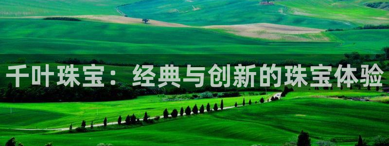 天宏娱乐大叔团成员