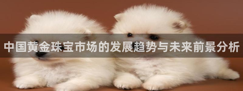 天宏娱乐王叔：中国黄金珠宝市场的发展趋势与未来前景分析
