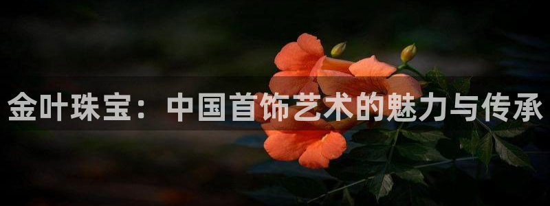 天宏娱乐下载：金叶珠宝：中国首饰艺术的魅力与传承