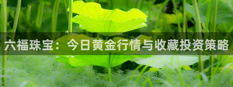 天宏娱乐股东：六福珠宝：今日黄金行情与收藏投资策略