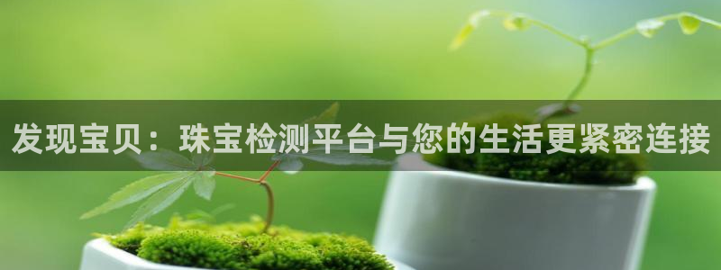 天宏娱乐石叔简介图片