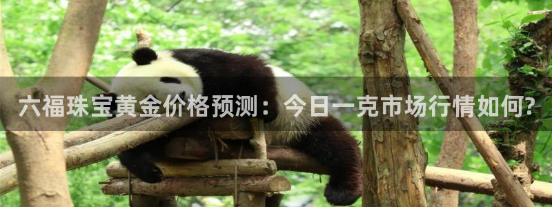 天宏娱乐小号怎么玩的：六福珠宝黄金价格预测：今日一克市场行情