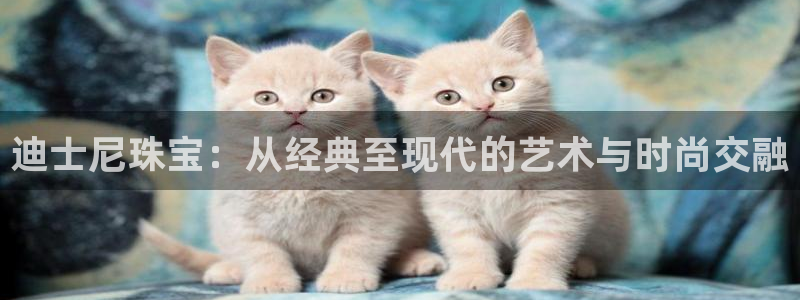 天宏娱乐登入