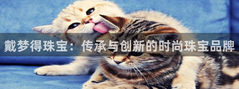 天宏娱乐e 判官