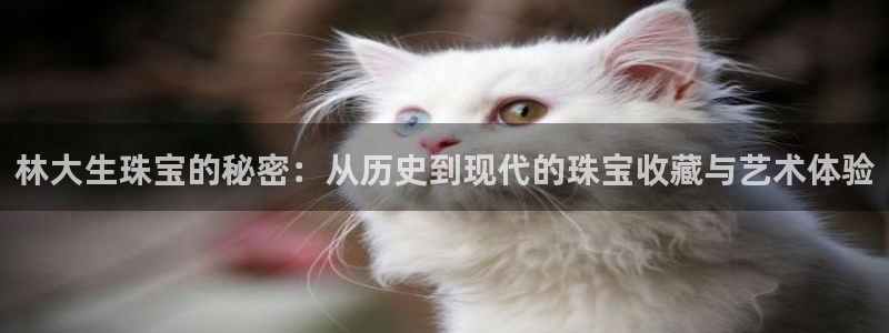 秦皇岛天宏娱乐会所地址