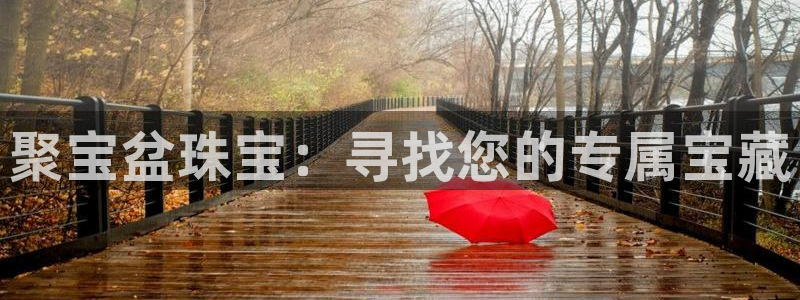 天亿娱乐宏发团队成员
