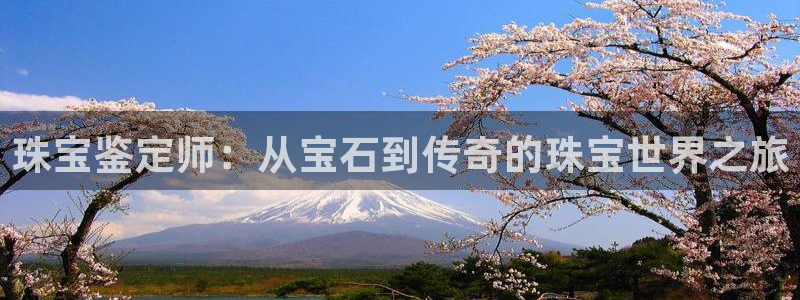 天宏娱乐指尖自