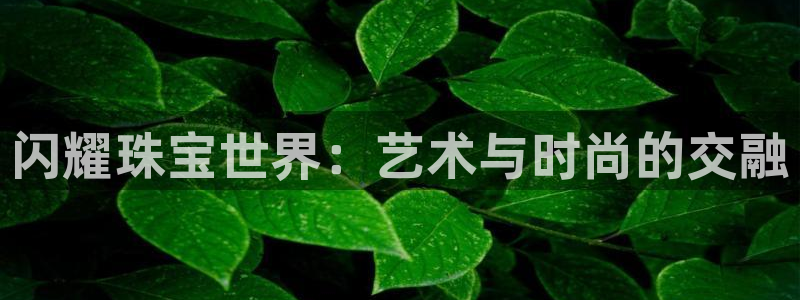 宏天娱乐会所地址