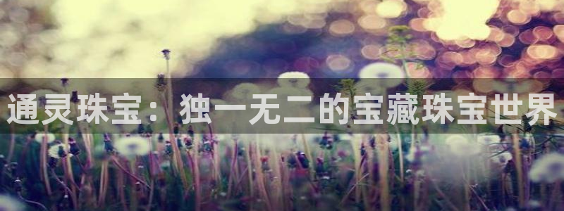 天宏娱乐言叔