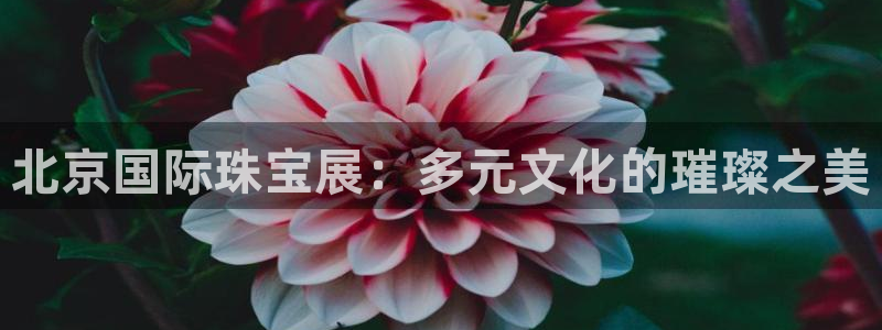 天宏娱乐董事长
