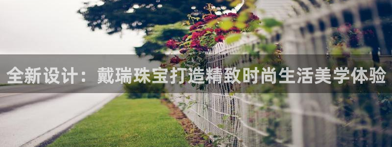 天宏娱乐传媒