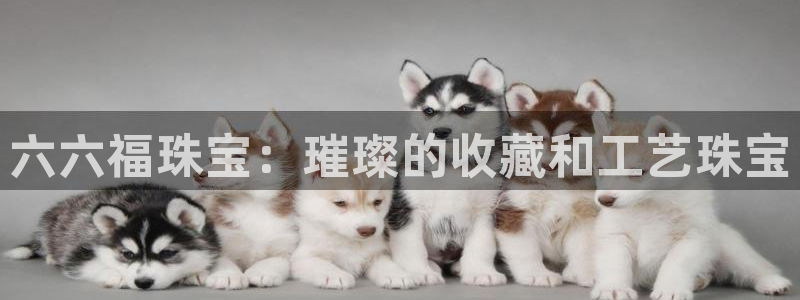 天宏娱乐会所地址查询