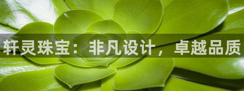 天宏娱乐团购活动时间