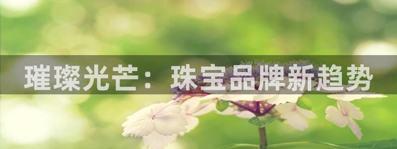 天宏娱乐主管