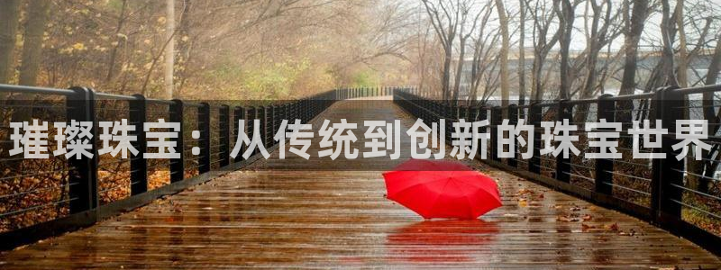 天宏娱乐 直播间
