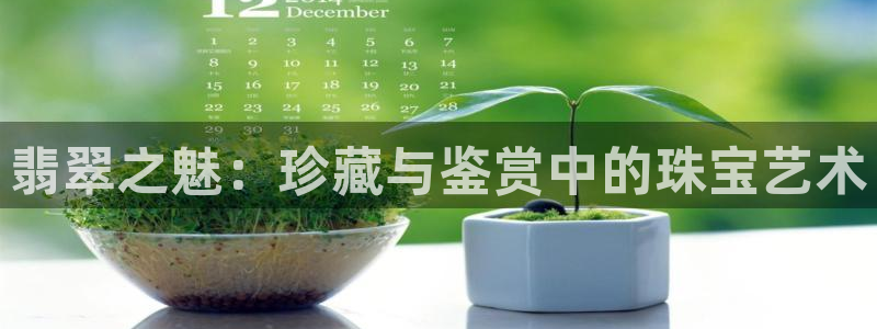 天宏娱乐老秦：翡翠之魅：珍藏与鉴赏中的珠宝艺术