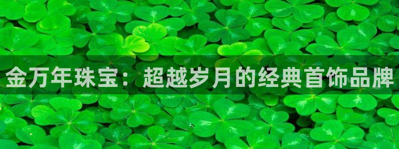 天宏娱乐天跃传媒招聘