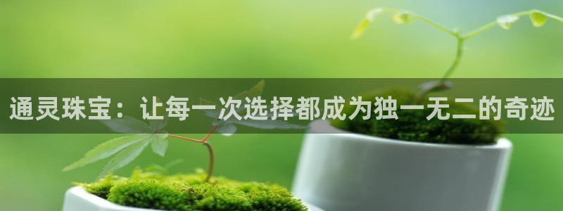天宏娱乐集团代理：通灵珠宝：让每一次选择都成为独一无二的奇迹