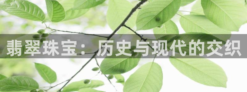 天宏娱乐钟叔：翡翠珠宝：历史与现代的交织