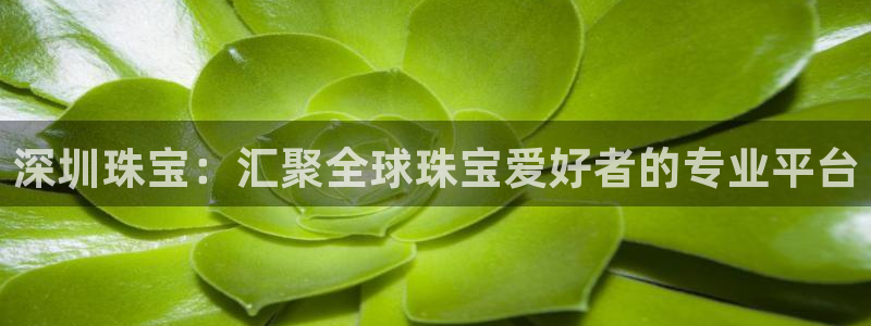 天宏娱乐的王叔：深圳珠宝：汇聚全球珠宝爱好者的专业平台