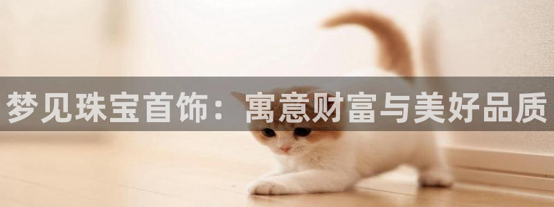 天宏娱乐彩票