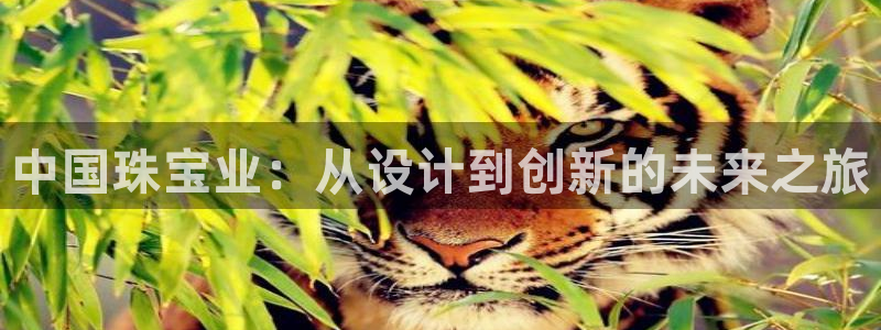 天宏2娱乐开户：中国珠宝业：从设计到创新的未来之旅