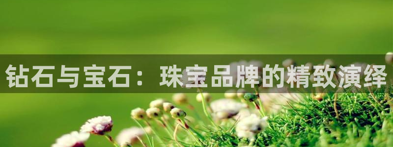 天宏娱乐金叔